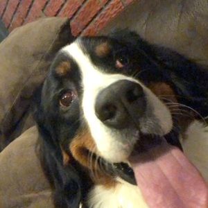 Meet your Posher, Gabby